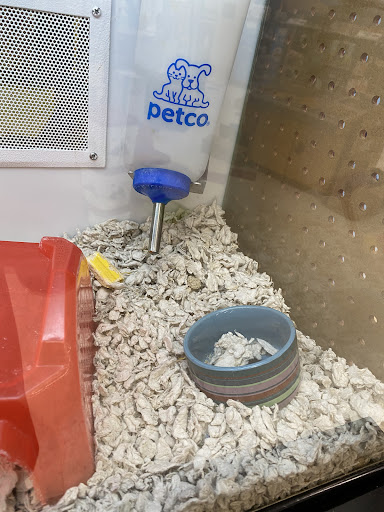 Pet Supply Store «Petco Animal Supplies», reviews and photos, 92 Cluff Crossing Rd, Salem, NH 03079, USA