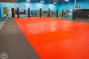 Gracie Tampa South MMA And BJJ image