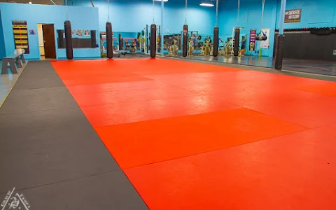 Gracie Tampa South MMA And BJJ image