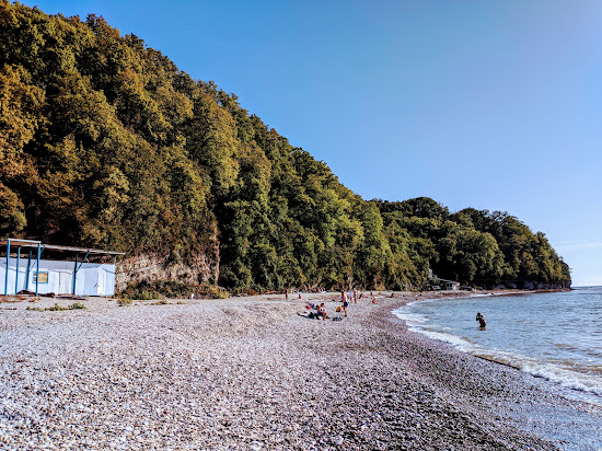 Primorskaya beach