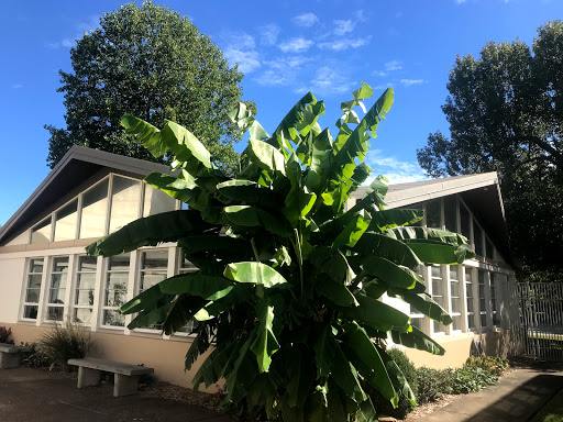 Art Museum «Springfield Art Museum», reviews and photos, 1111 E Brookside Dr, Springfield, MO 65807, USA