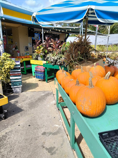 Produce Market «Panagiotis Pietris», reviews and photos, 2380 NE Coachman Rd, Clearwater, FL 33765, USA
