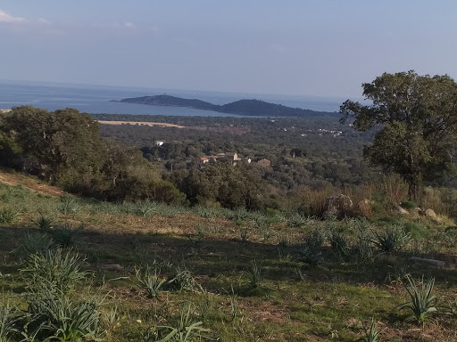 SEAT - GARAGE DETTORI SAINTE LUCIE DE PORTO VECCHIO