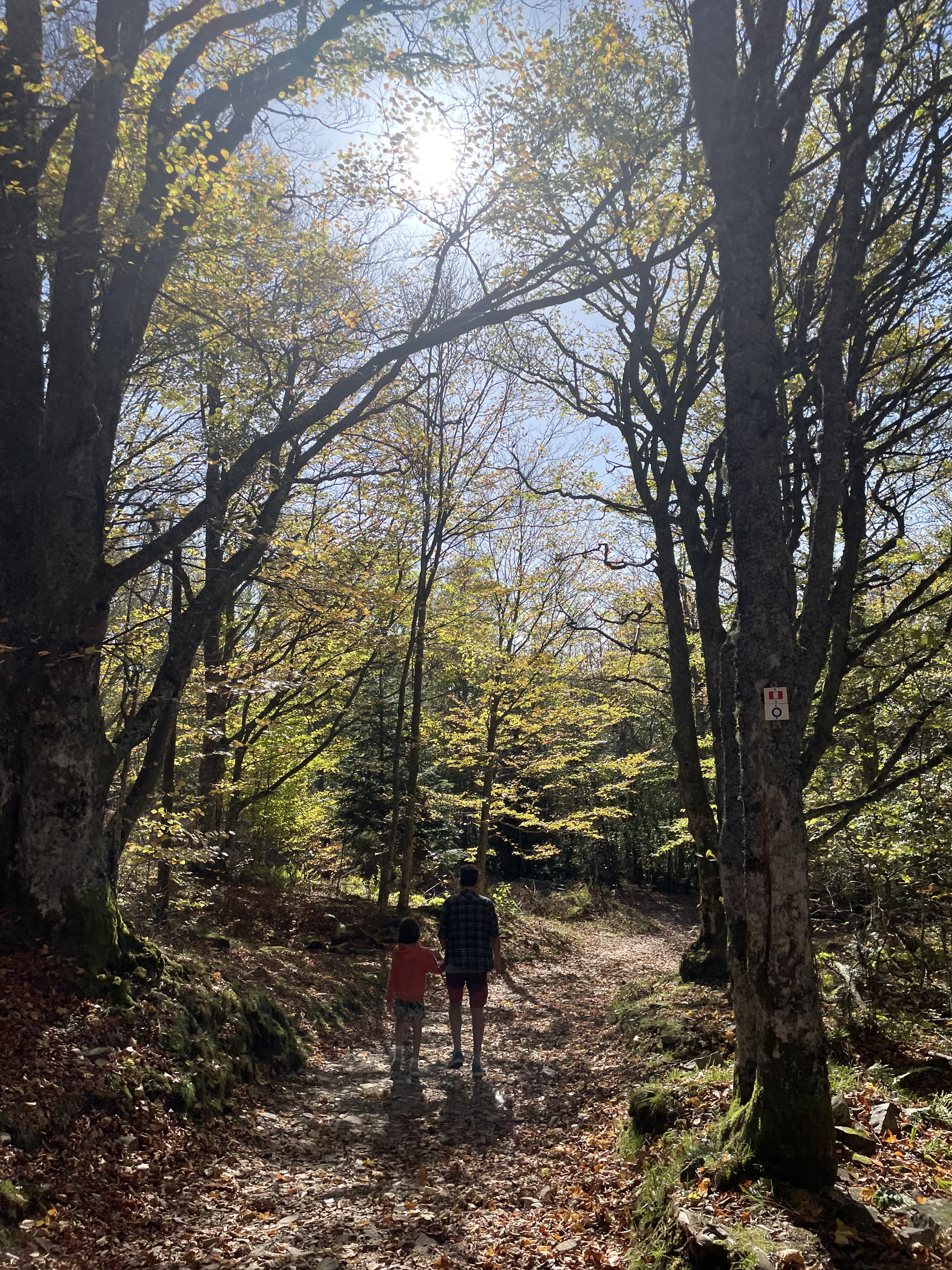 Photo n° 2 de l'avis de NC.o fait le 27/10/2022 à 19:04