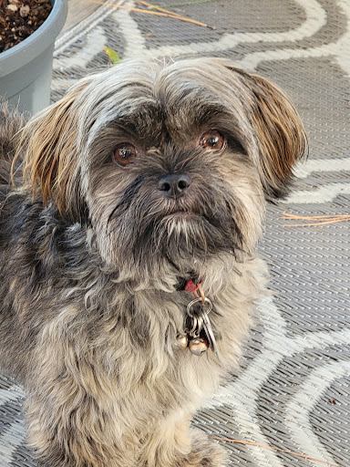 Pet Supply Store «Petco Animal Supplies», reviews and photos, 4011 Durham-Chapel Hill Blvd, Durham, NC 27707, USA