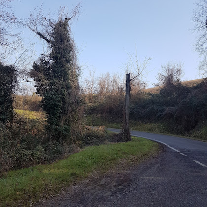 Extérieur hôtels San Savino 47016 San Savino