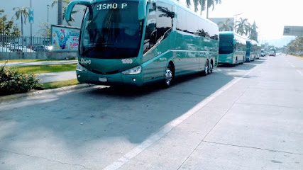 Autobuses De Turismo Pino, Sa De Cv