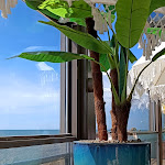 Photo n°16 de l'avis de Paulo.a fait le 02/04/2023 à 15:52 sur le  Pé no Mar - Restaurante/Bar à Perafita