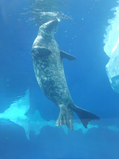 Pet Supply Store «Pet Supplies Plus», reviews and photos, 31029 Harper Ave, St Clair Shores, MI 48082, USA