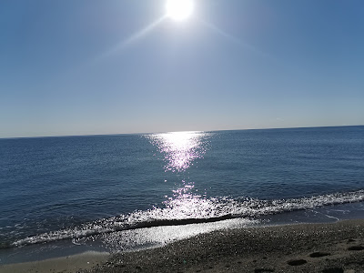 Club Plage Naturiste de Torreilles FFN à Torreilles