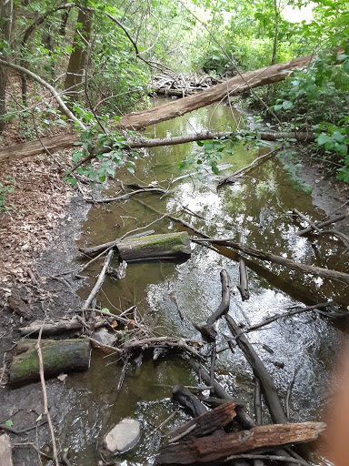 Nature Preserve «Lowry Nature Center», reviews and photos, 7025 Victoria Dr, Victoria, MN 55386, USA
