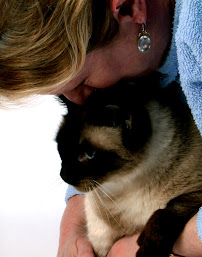 The Cat's Pajamas Cat Sitting - Photo 8 - Car repair in , Minneapolis