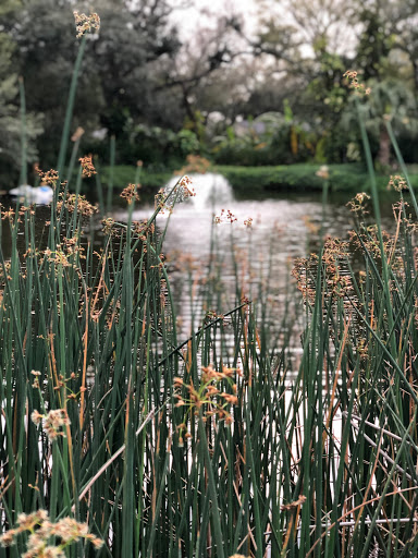 Country Club «Palma Ceia Golf & Country Club», reviews and photos, 1601 S MacDill Ave, Tampa, FL 33629, USA