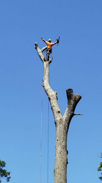 Cagle Tree Care Tree Service Jasper
