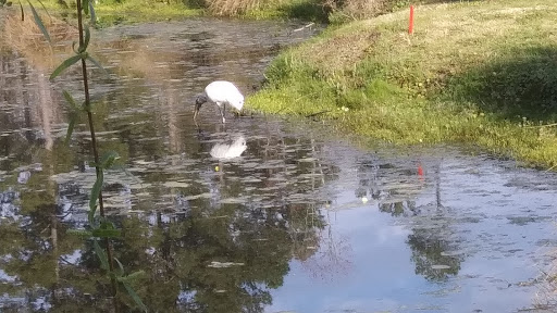 Golf Club «The Hackler Course at Coastal Carolina University», reviews and photos, 107 Citadel Dr, Conway, SC 29526, USA