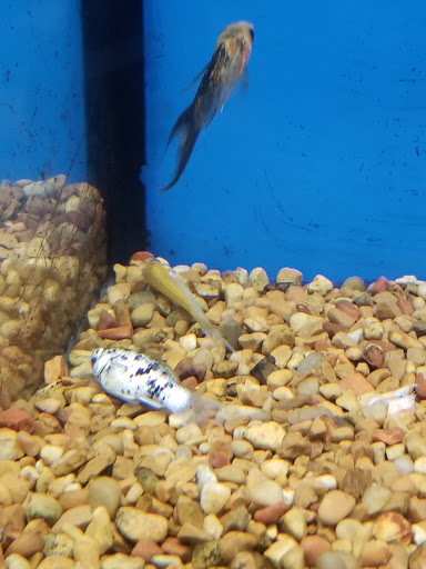 Pet Supply Store «Petco Animal Supplies», reviews and photos, 300 Quaker Ln #3, Warwick, RI 02886, USA