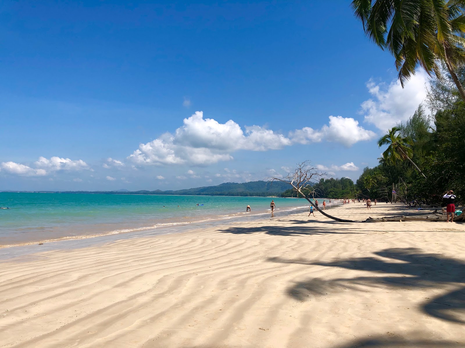 Photo of Coconut beach with bright fine sand surface