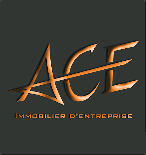 Agence immobilière ACE IMMOBILIER D'ENTREPRISE Nice