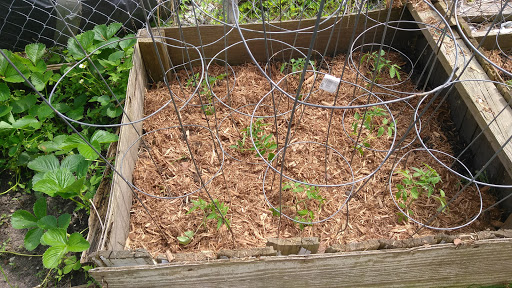 Supermarket «Mt Clemens farmers Market», reviews and photos, 135 N River Rd, Mt Clemens, MI 48043, USA