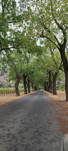 Winery «Quixote Winery», reviews and photos, 6126 Silverado Trl, Napa, CA 94558, USA