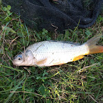 Photo n°1 de l'avis de Roberto.v fait le 24/10/2021 à 17:06 sur le  Matti Pessetti Asd à Terrassa Padovana