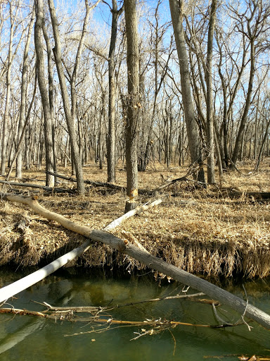 State Park «Cherry Creek State Park», reviews and photos, 4201 S Parker Rd, Aurora, CO 80014, USA