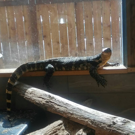 Zoo «Reptile Zoo», reviews and photos, 22715 US2, Monroe, WA 98272, USA