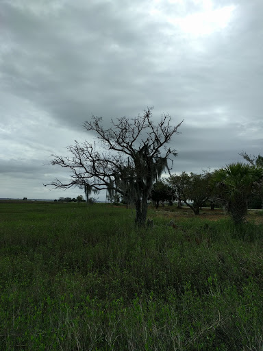 Park «Live Oaks Park», reviews and photos, 904 14th St, Port Royal, SC 29935, USA