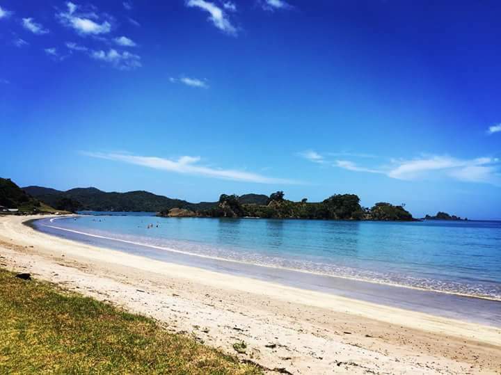 Foto di Whangaruru Beach area servizi