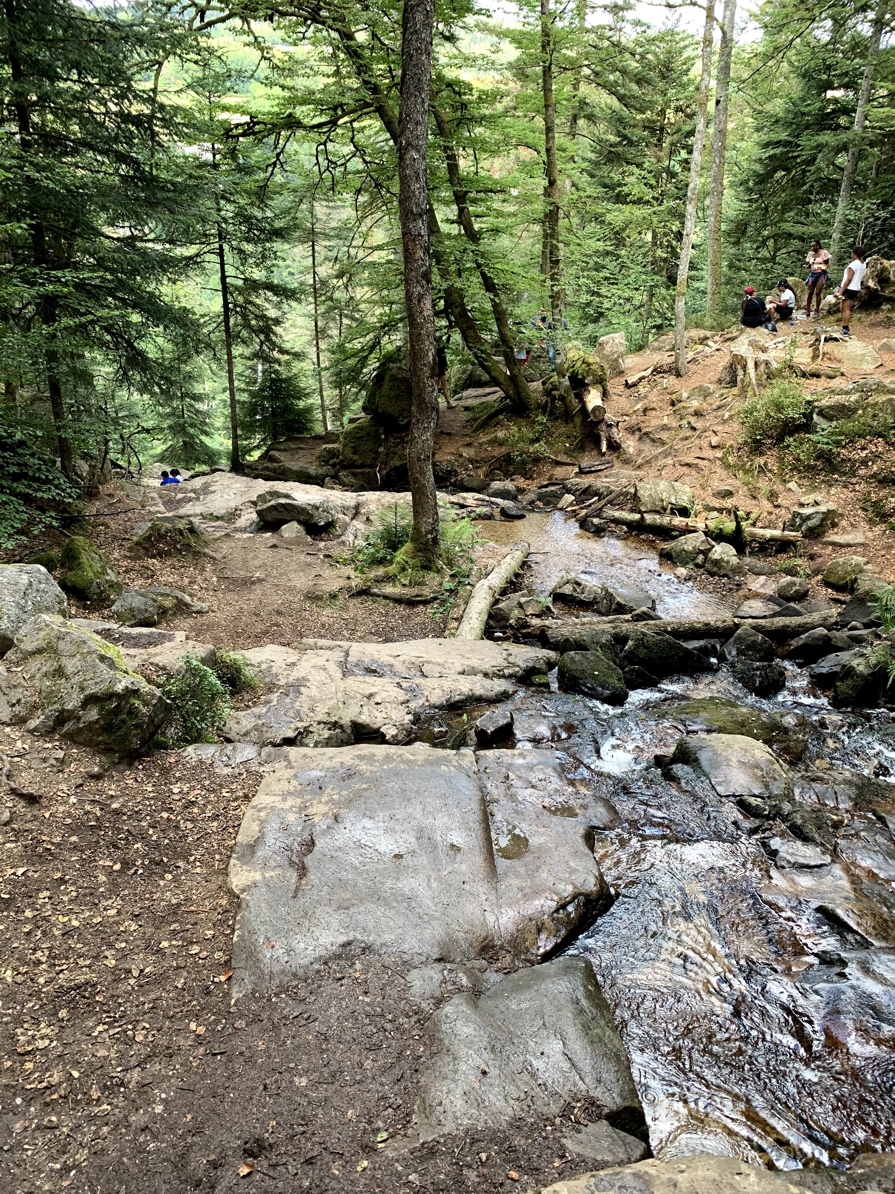Photo n° 6 de l'avis de Lionel. fait le 27/08/2020 à 21:59