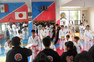 Karate Liceo Shudo Kan Coacalco image