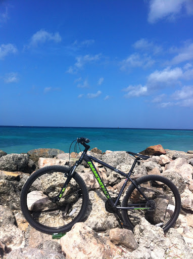 Bicycle Store «Performance Bicycle», reviews and photos, 6721 Frontier Dr, Springfield, VA 22150, USA