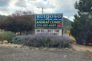 Ruidoso Animal Clinic image