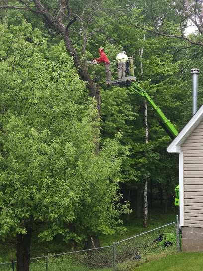 Rise Tree Service