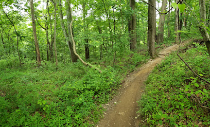 Green Trail
