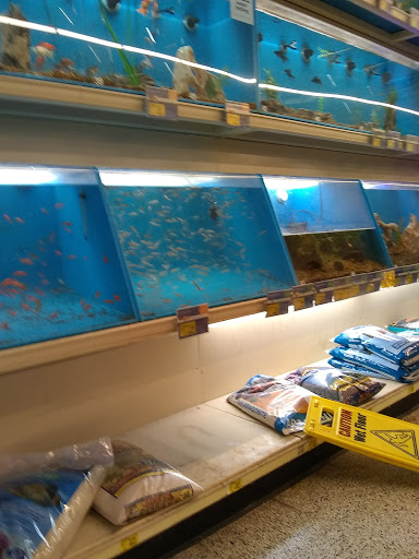 Pet Supply Store «PetSmart», reviews and photos, 70 Worcester-Providence Turnpike #240, Millbury, MA 01527, USA