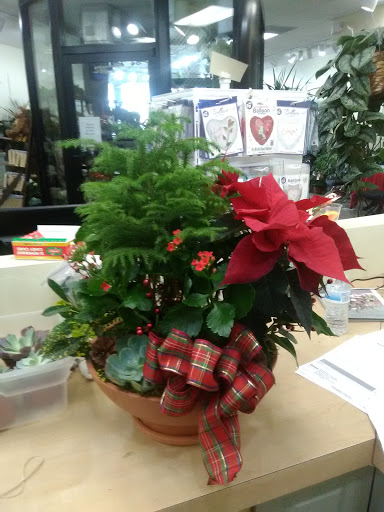 Florist «Casas Adobes Flower Shop», reviews and photos, 7090 N Oracle Rd #194, Tucson, AZ 85704, USA