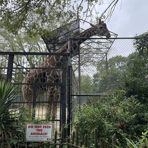 Zoo «The Jackson Zoological Park», reviews and photos, 2918 W Capitol St, Jackson, MS 39209, USA