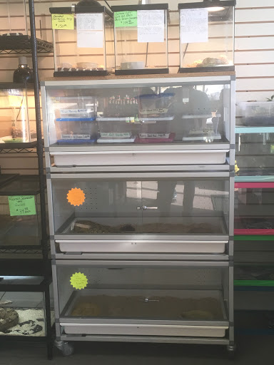 Pet Store «Petfection Exotic Pet Specialist», reviews and photos, 2989 PA-611 Suite 102, Tannersville, PA 18372, USA
