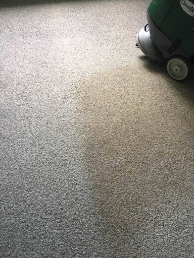 Carpet Cleaning Service «Chem-Dry of Rutland-Killington», reviews and photos, 196 Stratton Rd, Rutland, VT 05701, USA