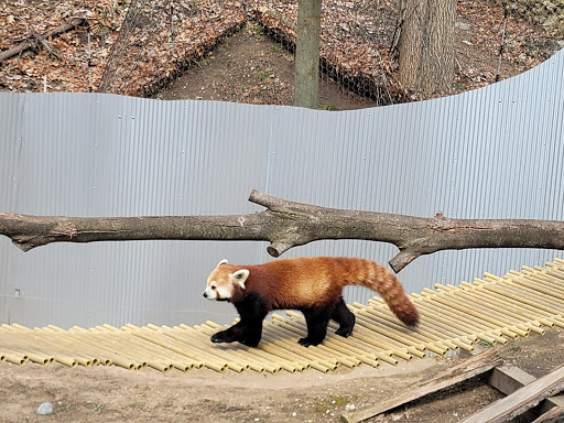 Zoo «John Ball Zoo», reviews and photos, 1300 West Fulton Street, Grand Rapids, MI 49504, USA