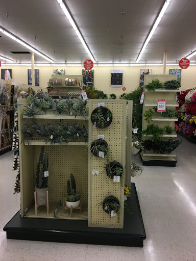 Craft Store «Hobby Lobby», reviews and photos, 11711 Princeton Pike #255, Springdale, OH 45246, USA