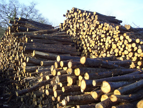Magasin de bois de chauffage Bois Breizh Montreuil-sur-Ille