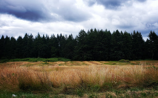 Farm «Oregon Lavender Farm», reviews and photos, 20949 S Harris Rd, Oregon City, OR 97045, USA
