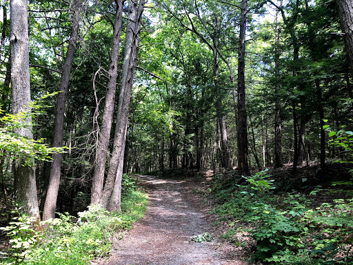 Nature Preserve «John Burroughs Slabsides», reviews and photos, Burroughs Dr, West Park, NY 12493, USA