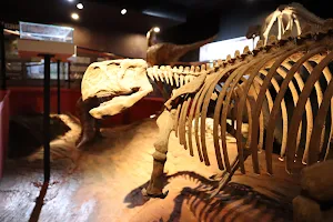 Lampang Geology Museum image