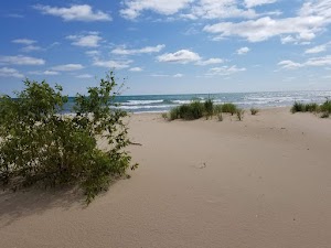 North Dunes Nature Preserve - photo 97