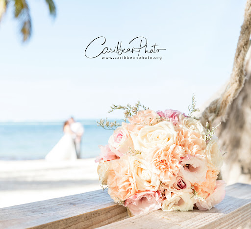 CaribbeanPhoto - Punta Cana Wedding Photographer