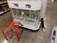 PetSmart - Photo 9 - Car repair in Aurora, CO, Denver