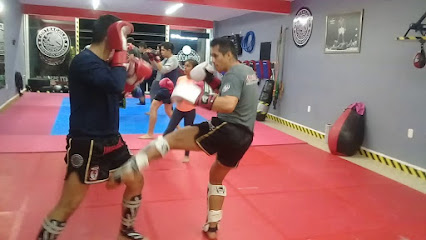 CONTRAGOLPE - Escuela De Combate, Boxeo y Kick-Boxing.